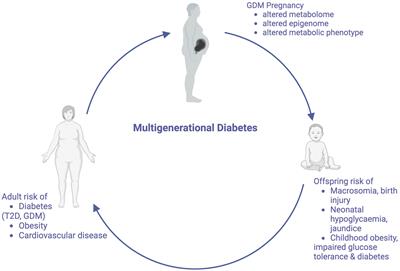 Multigenerational diabetes mellitus